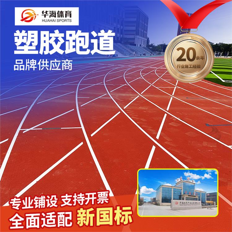五指山市epdm颗粒预制型橡胶跑道 - 厂家